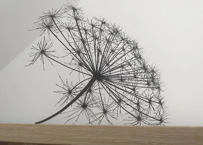 Le Mouton Blanc***** Heas Gavarnie-gedre